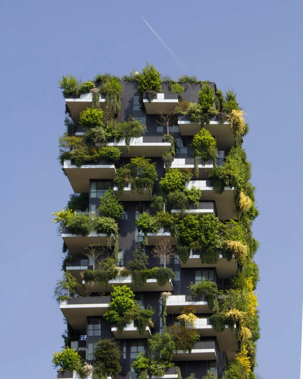 Forêt, transition durable et économie circulaire